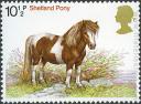 Caballos de Raza: Shetland Pony.