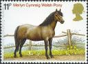 Caballos de Raza: Welsh Pony.