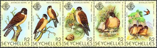 El Cerní­calo de las Seychelles