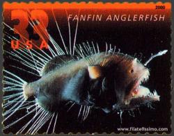 Fanfin Anglerfish