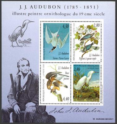 Aves: John James Audubon