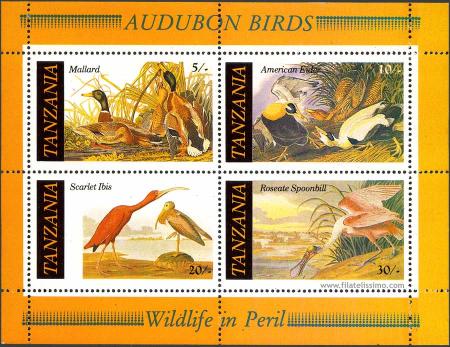 Fauna en peligro: John James Audubon